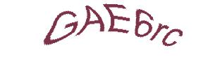عبارت امنیتی