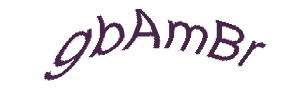 عبارت امنیتی