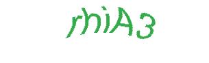 عبارت امنیتی