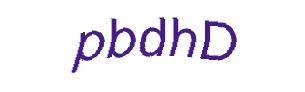 عبارت امنیتی