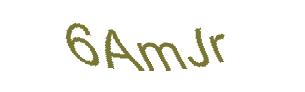 عبارت امنیتی
