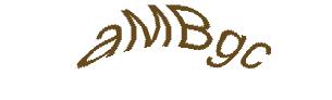 عبارت امنیتی