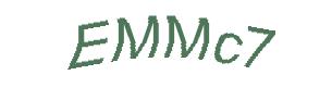 عبارت امنیتی