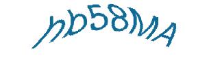 عبارت امنیتی