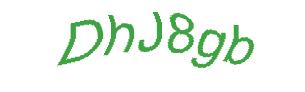 عبارت امنیتی