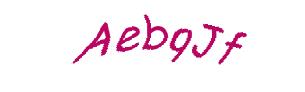 عبارت امنیتی