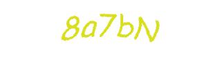 عبارت امنیتی