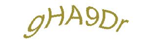 عبارت امنیتی
