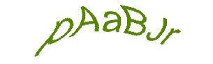عبارت امنیتی