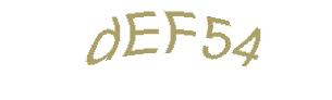 عبارت امنیتی