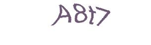 عبارت امنیتی