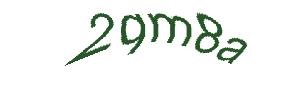 عبارت امنیتی