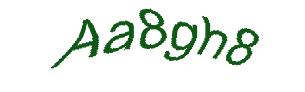 عبارت امنیتی