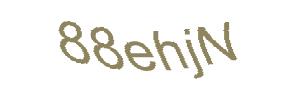 عبارت امنیتی