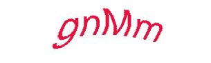 عبارت امنیتی