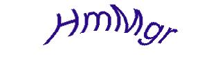 عبارت امنیتی