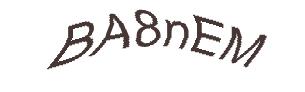 عبارت امنیتی