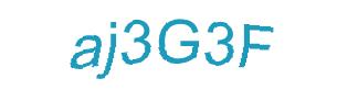 عبارت امنیتی