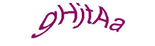 عبارت امنیتی