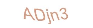 عبارت امنیتی