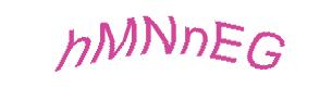 عبارت امنیتی