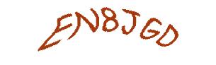 عبارت امنیتی