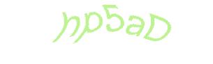 عبارت امنیتی