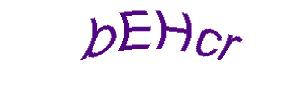 عبارت امنیتی