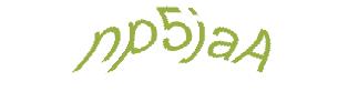 عبارت امنیتی