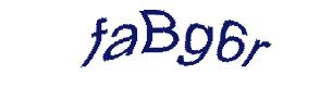 عبارت امنیتی