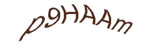 عبارت امنیتی