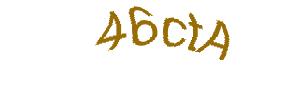 عبارت امنیتی