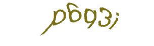 عبارت امنیتی