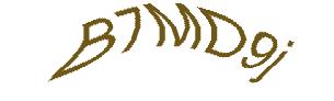 عبارت امنیتی