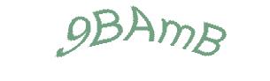 عبارت امنیتی