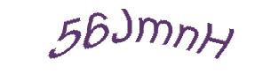 عبارت امنیتی