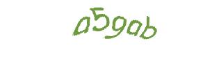 عبارت امنیتی