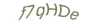 عبارت امنیتی