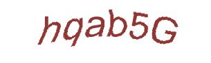 عبارت امنیتی