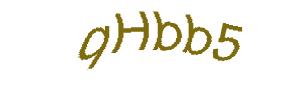 عبارت امنیتی