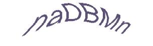 عبارت امنیتی
