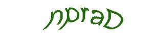عبارت امنیتی