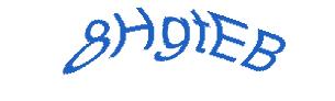عبارت امنیتی