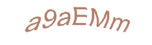 عبارت امنیتی