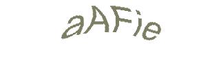عبارت امنیتی