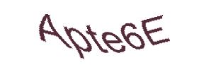 عبارت امنیتی