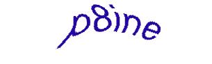 عبارت امنیتی