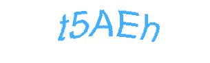 عبارت امنیتی