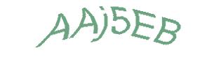 عبارت امنیتی