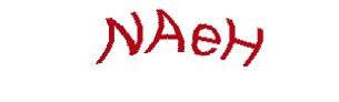 عبارت امنیتی
